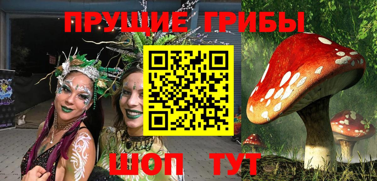 Галлюциногенные грибы Psilocybe Воткинск