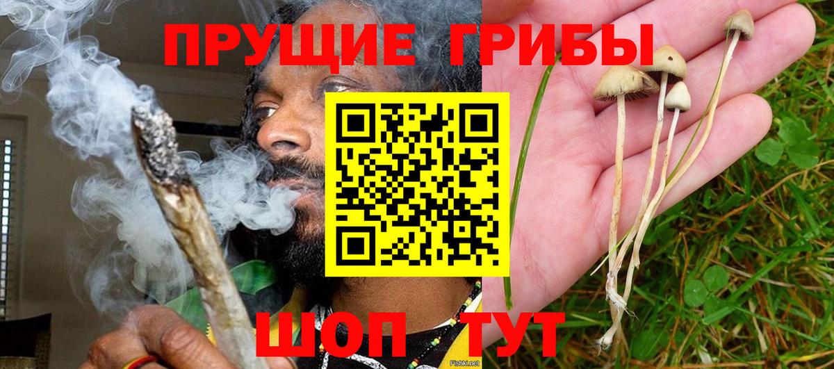 Галлюциногенные грибы Psilocybe  Вход с VPN  Воткинск 